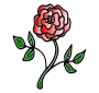 Red Rose