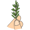 Sprig