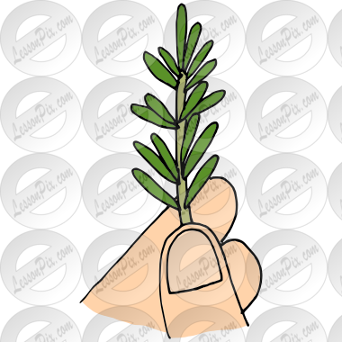 Sprig