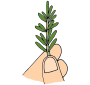 Sprig