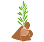 Sprig