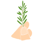 Sprig