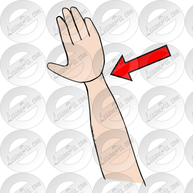Wrist