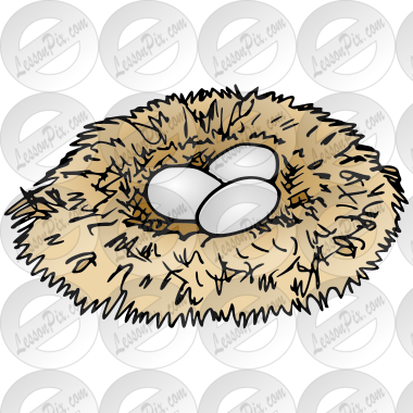 Nest