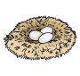 Nest