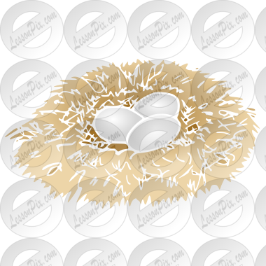 Nest