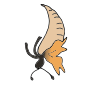 Butterfly Emerge