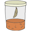 Chrysalis