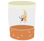 Butterly Emerge