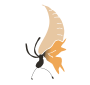 Butterfly Emerge