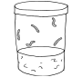 5 Caterpillars