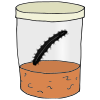 Caterpillar