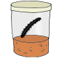 Caterpillar