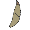 Chrysalis
