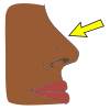 Nose