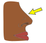 Nose