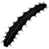 Caterpillar