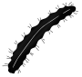 Caterpillar