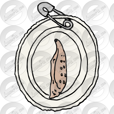 Chrysalis