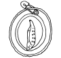 Chrysalis  Outline
