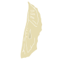 Chrysalis