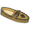 Moccasin Picture