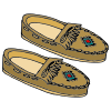 Moccasin Picture