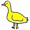 Duck+-+Quack Picture