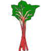 Rhubarb