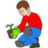 Plant