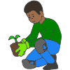 Plant