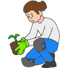 Plant