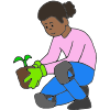 Plant