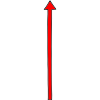 Straight Line