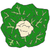 Cauliflower