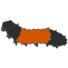 Woolly Bear Caterpillar