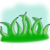 Grass