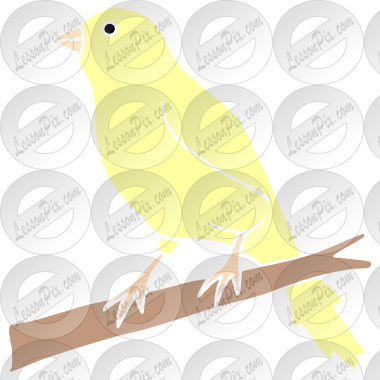 Canary