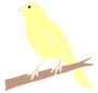 Canary Stencil