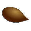 Pecan