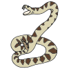 Rattlesnake Picture