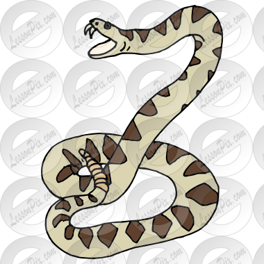 Rattlesnake Picture