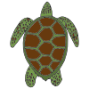 Sea Turtle Picture