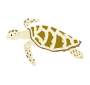 Sea Turtle