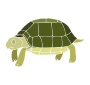 Tortoise Stencil