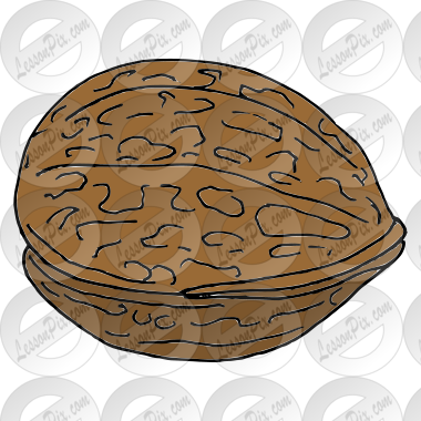Walnut