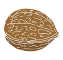 Walnut