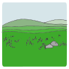 Grassland Picture