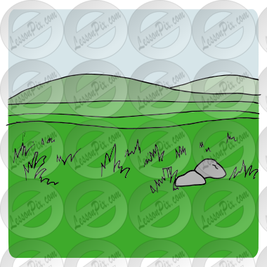 Grassland