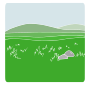 Grassland